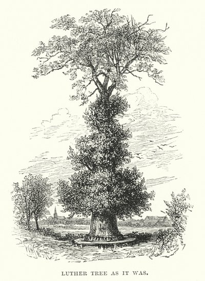Luther Tree as it was by William Henry James after Boot